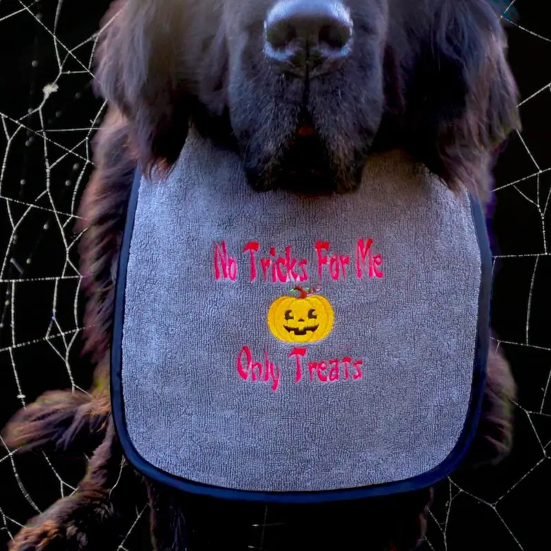 Halloween ‘No tricks for me Only treats’ dog spooky bib, photo 6