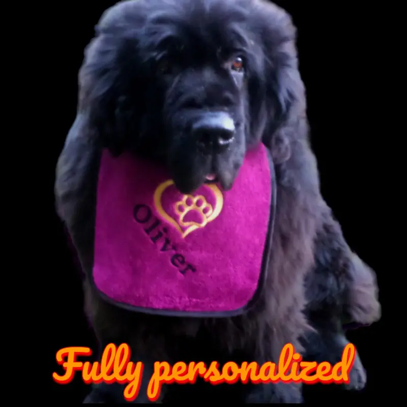 Heart & Paw Personalised Dog Bib, photo 9