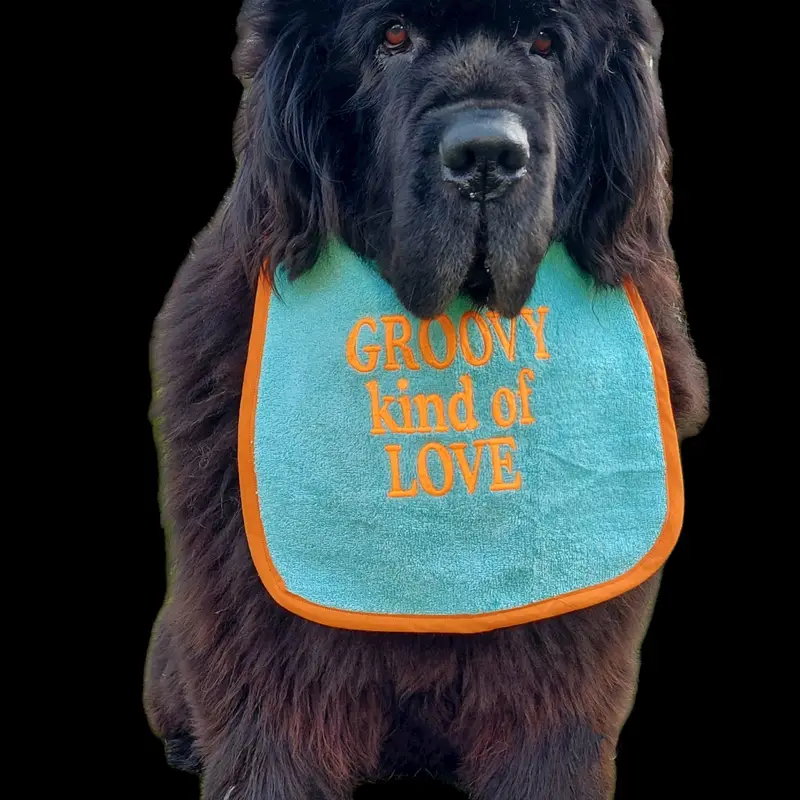 Groovy kind of Love customised & personalised dog bib, photo 9