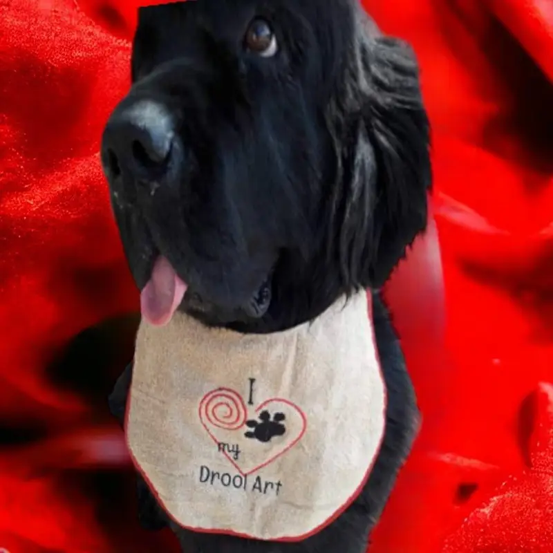 Drool art dog bib, photo 4