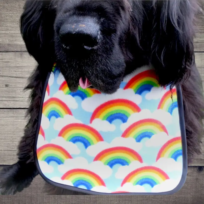 Rainbow fleece dog bib, photo 2