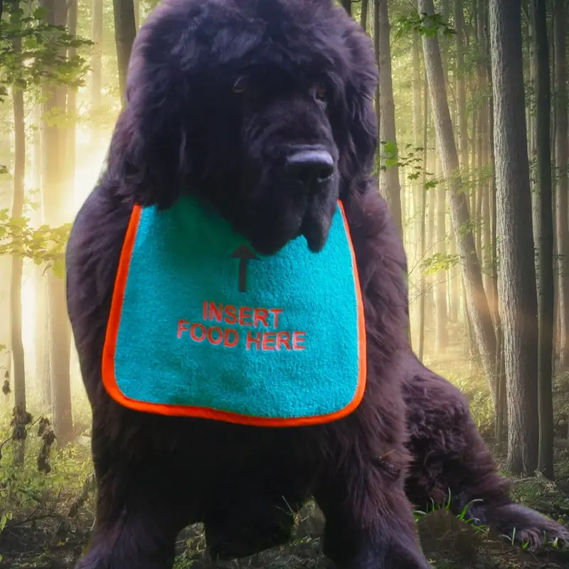 Custom ‘INSERT FOOD HERE’ Dog Bib, photo 11