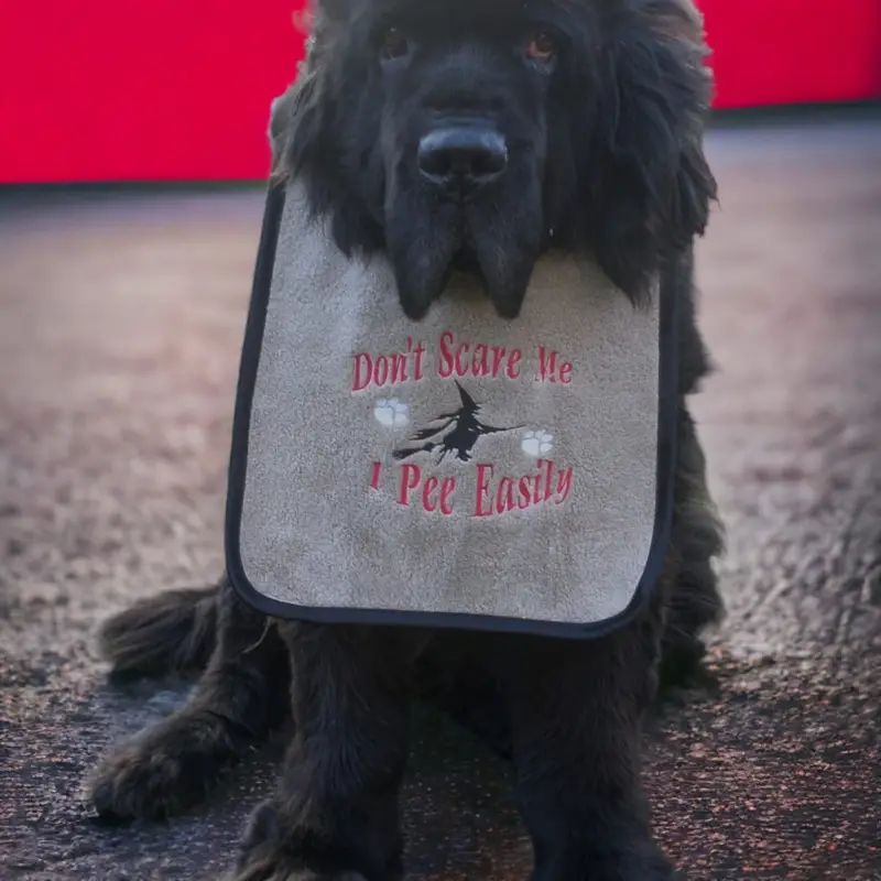 Halloween ‘Dont scare me’ dog bib, photo 9