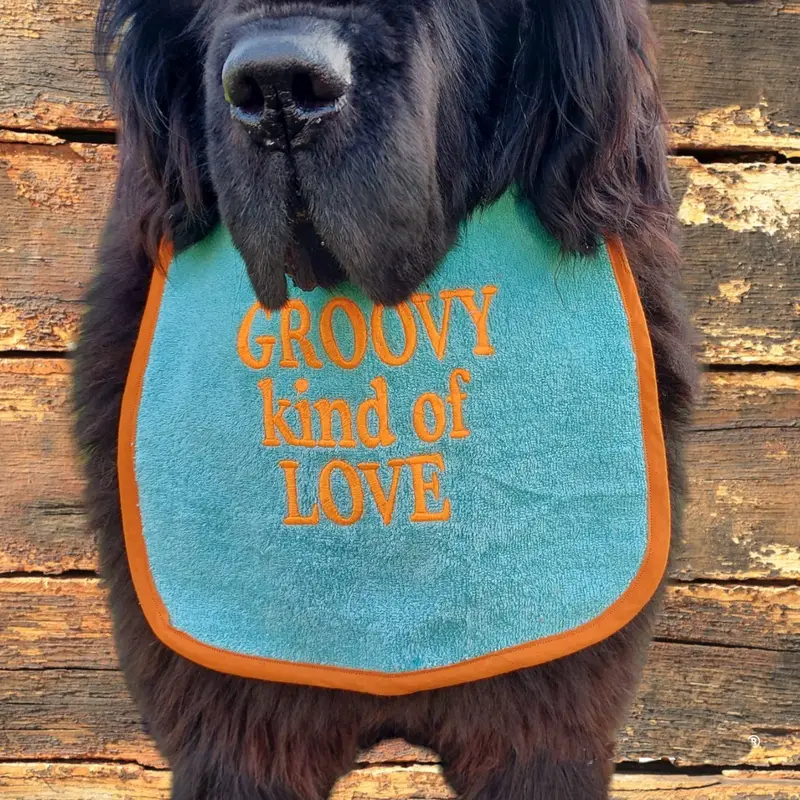 Groovy kind of Love customised & personalised dog bib, photo 11