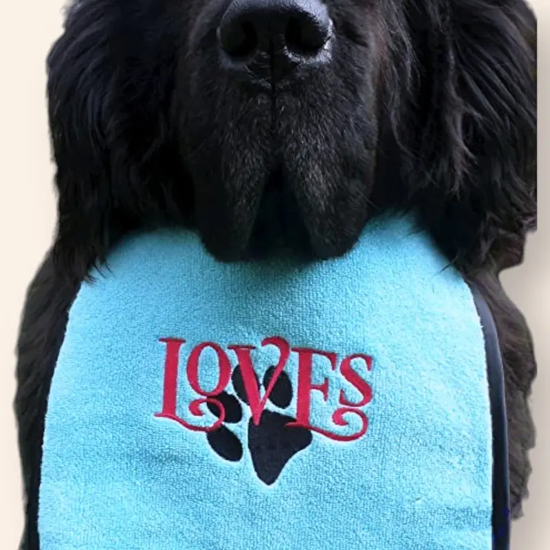 Loves & paw dog bib, photo 12