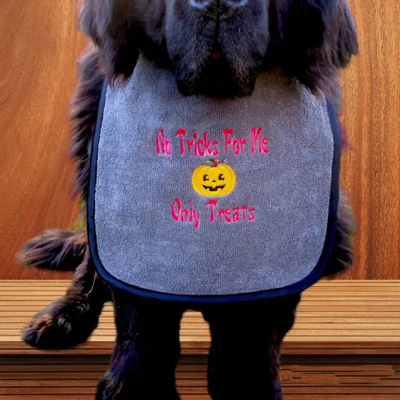 Halloween ‘No tricks for me Only treats’ dog spooky bib, photo 11