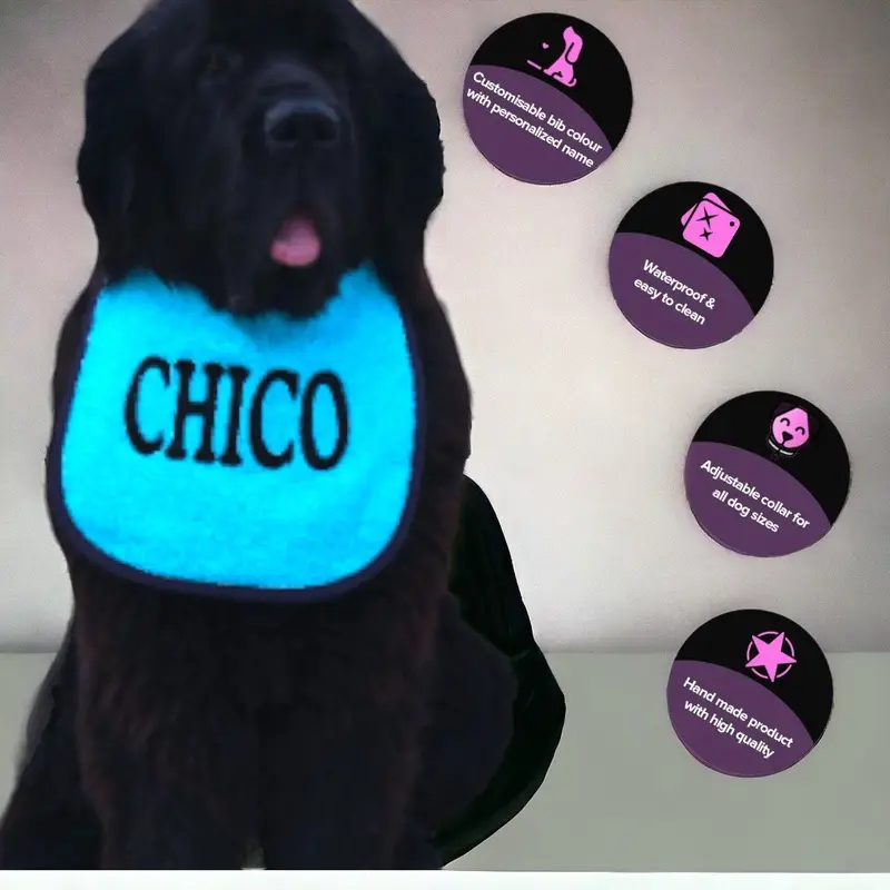 Personalise Your own dog bib, photo 9