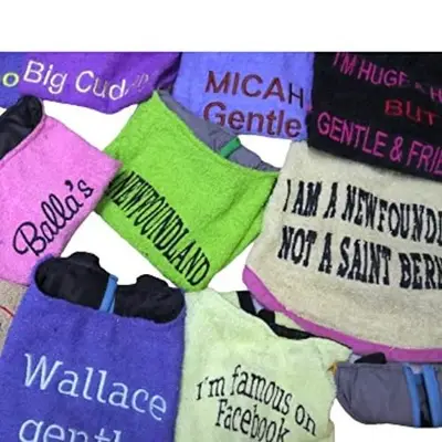 Personalised dog bib with name/wording, photo 2