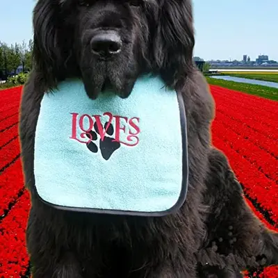 Loves & paw dog bib, photo 6