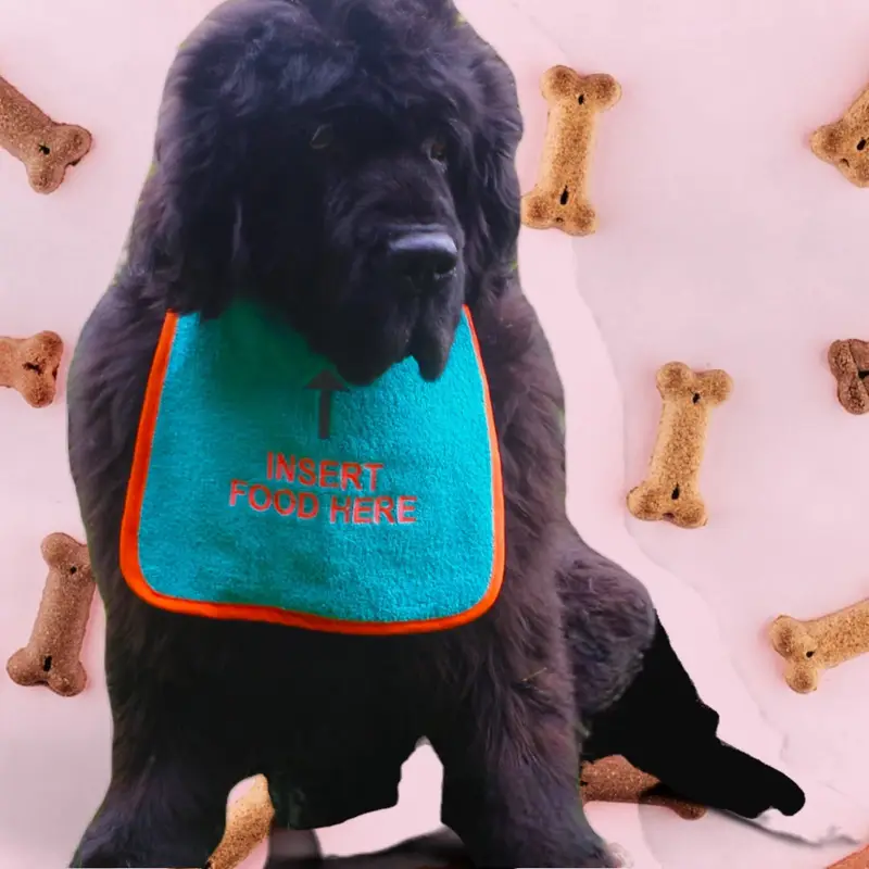 Custom ‘INSERT FOOD HERE’ Dog Bib, photo 3