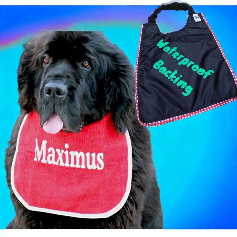 Personalised dog bib with name/wording, photo 4