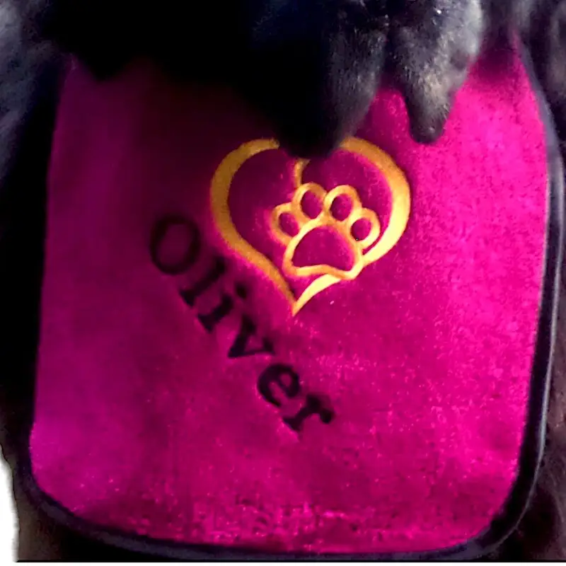 Heart & Paw Personalised Dog Bib, photo 12
