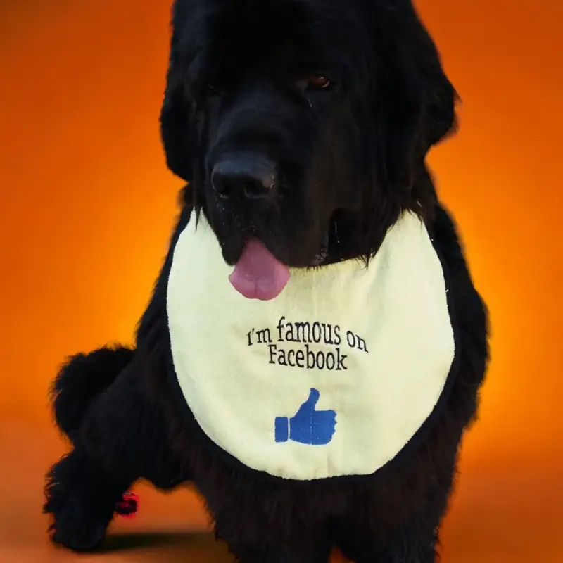 Famous on Facebook dog bib, photo 2