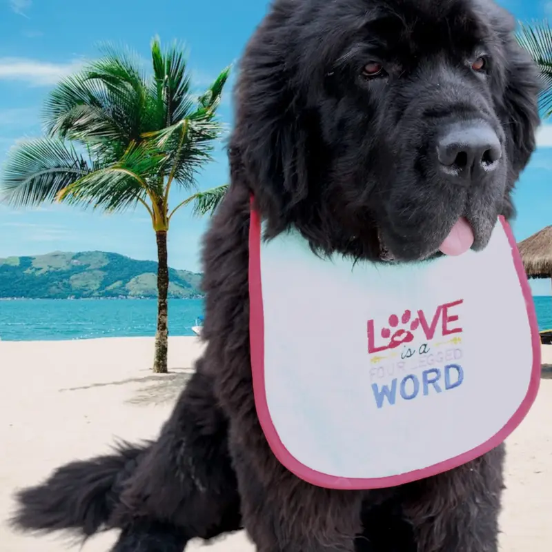 Love is a 4 legged word dog bib, photo 6