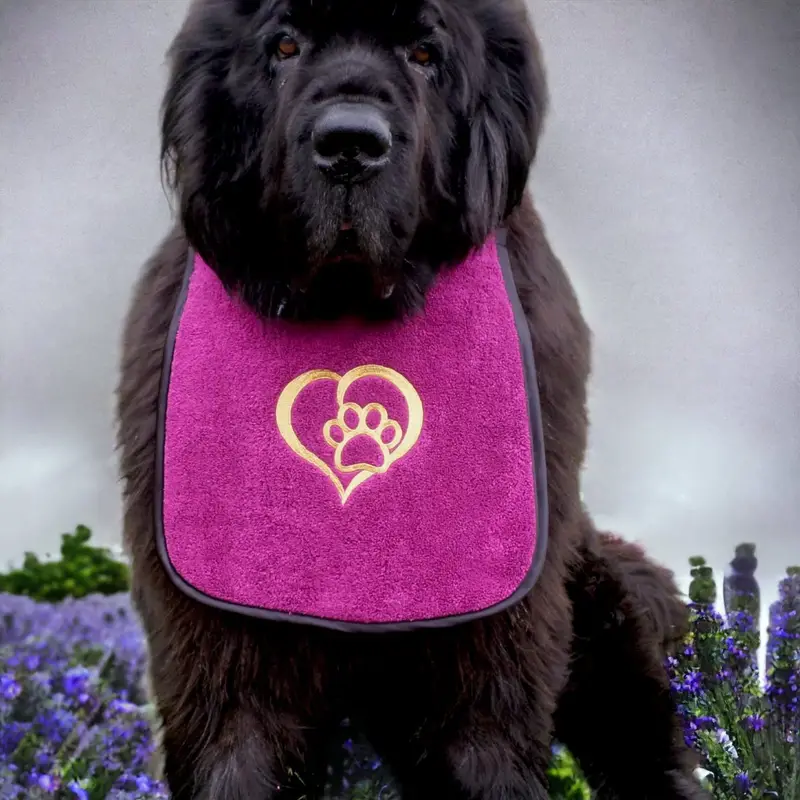 Paw & heart dog bib, photo 8
