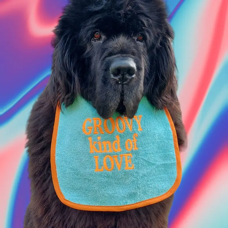 Groovy kind of Love customised & personalised dog bib, photo 3