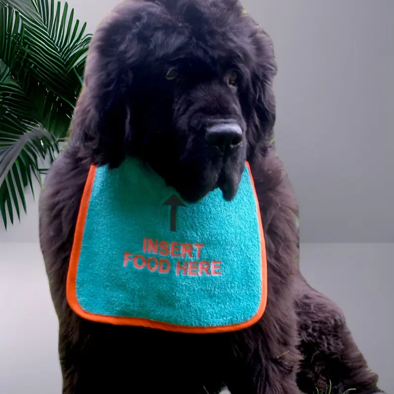 Custom ‘INSERT FOOD HERE’ Dog Bib, photo 9