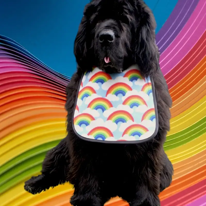 Rainbow fleece dog bib, photo 5