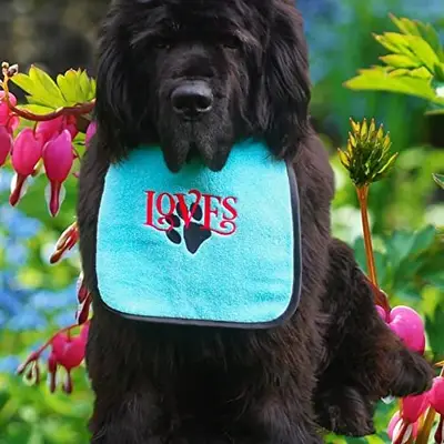 Loves & paw dog bib, photo 8