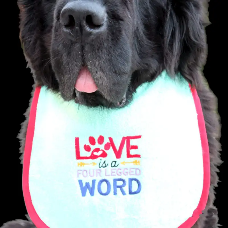Love is a 4 legged word dog bib, photo 11