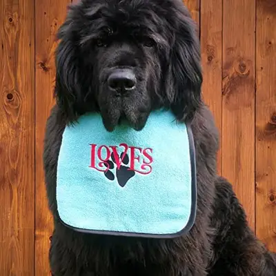 Loves & paw dog bib: pic2