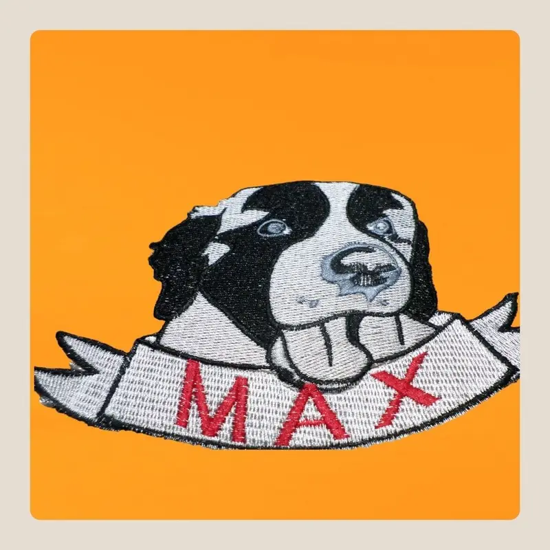 Personalised Saint Bernard Dog Bib: saint bernard with name photo