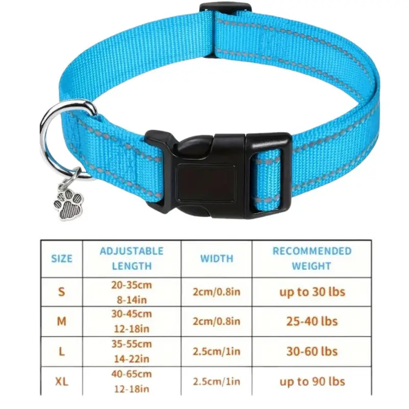 Nylon Strong Dog Collar with reflective stripes & pendant (Sky Blue), photo 2