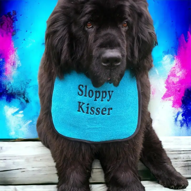 Super absorbent premium bib for dogs: sloppy