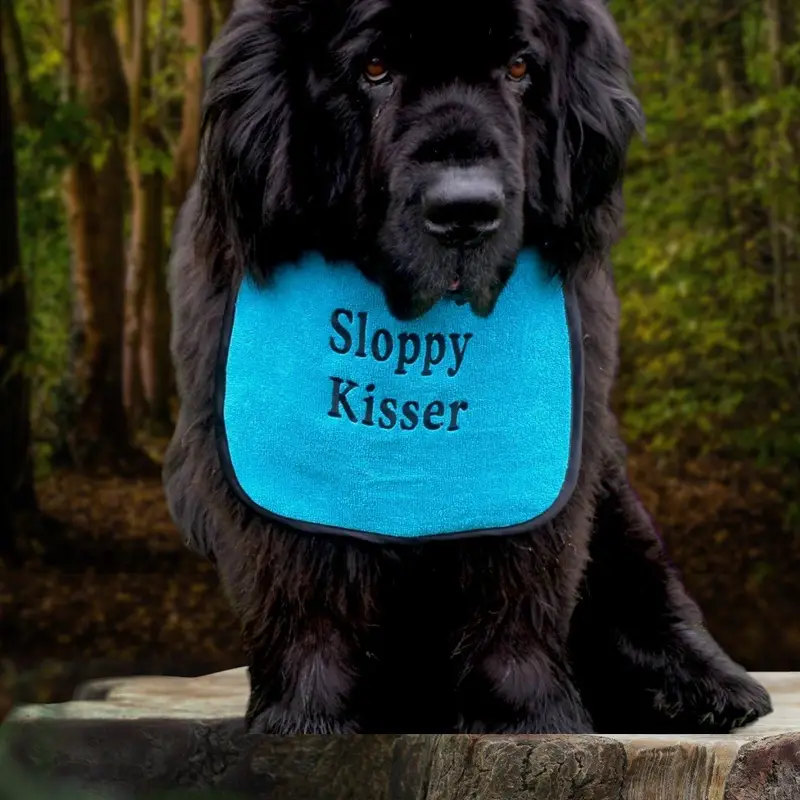 Super absorbent premium bib for dogs: sloppy