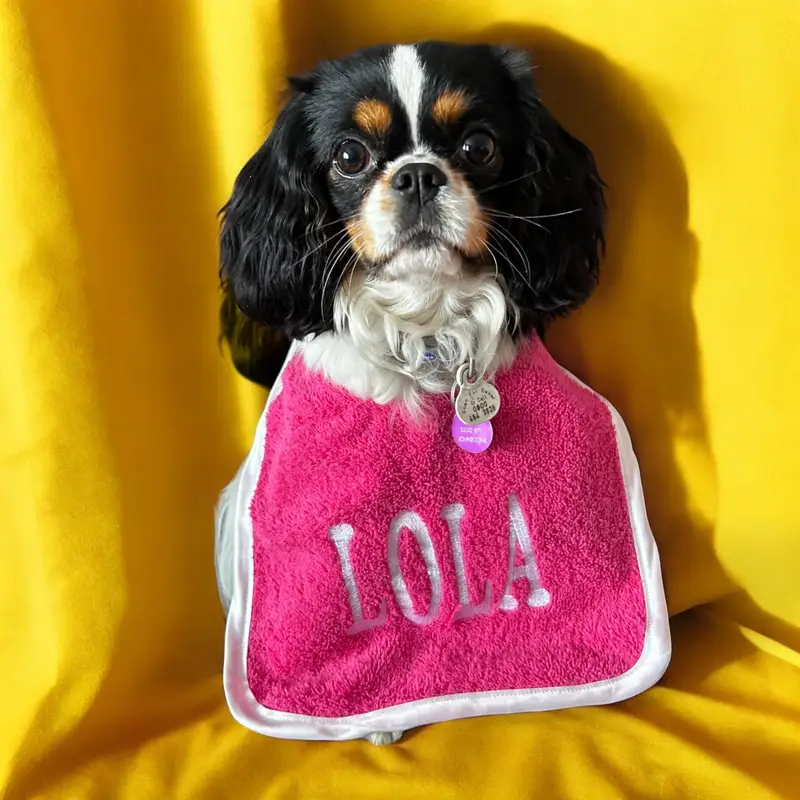 Ultimate Personalised Dog Bibs for Small Breeds: small bib