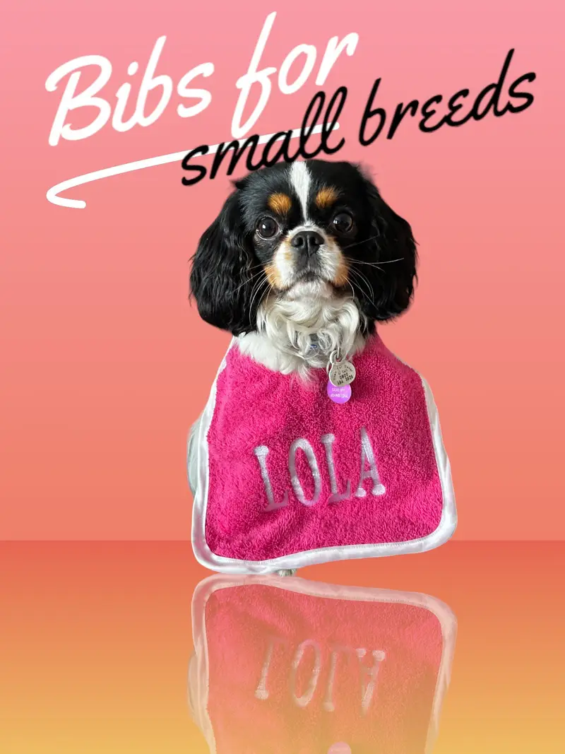 Ultimate Personalised Dog Bibs for Small Breeds: small bib