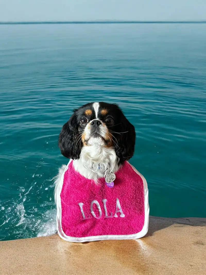 Ultimate Personalised Dog Bibs for Small Breeds: small bib