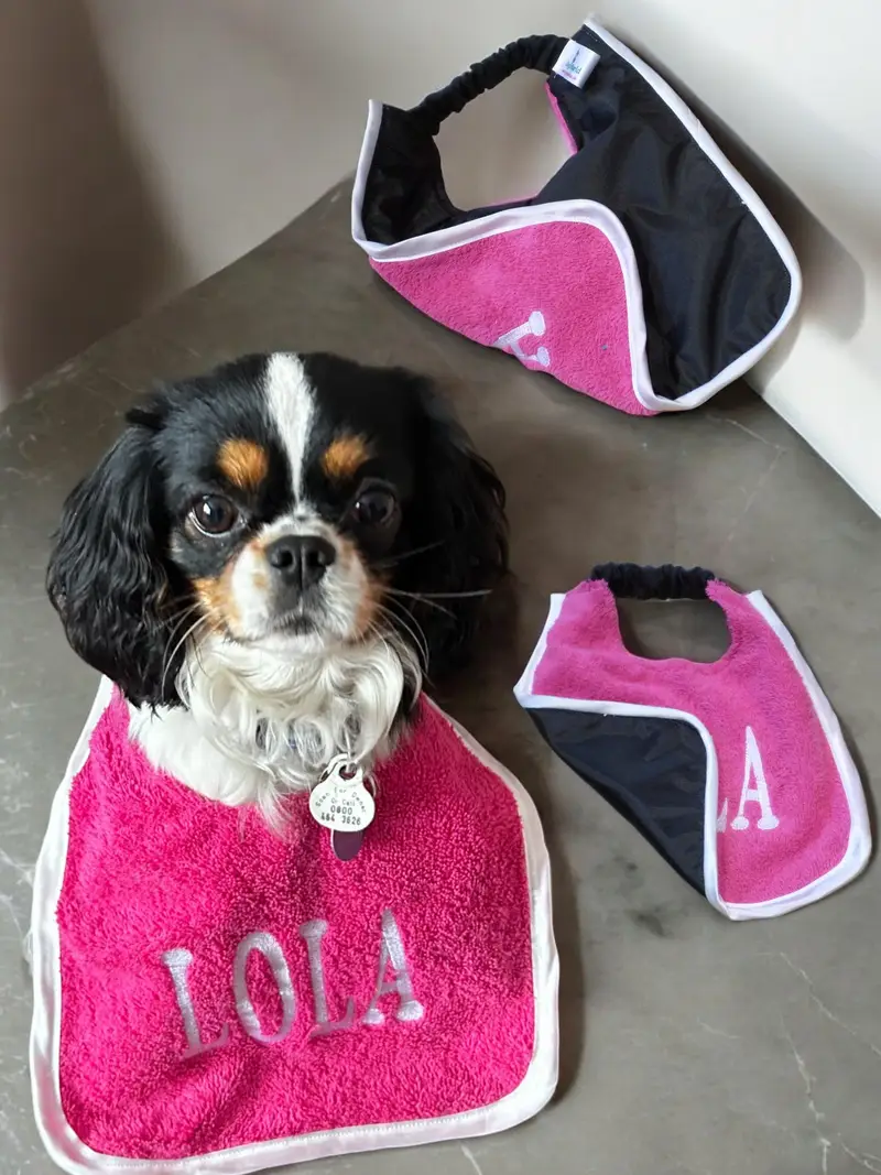 Ultimate Personalised Dog Bibs for Small Breeds: small bib