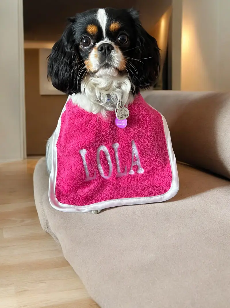 Ultimate Personalised Dog Bibs for Small Breeds: small bib