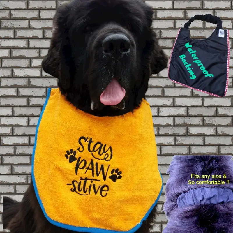 Stay pawsitive dog bib, photo 7