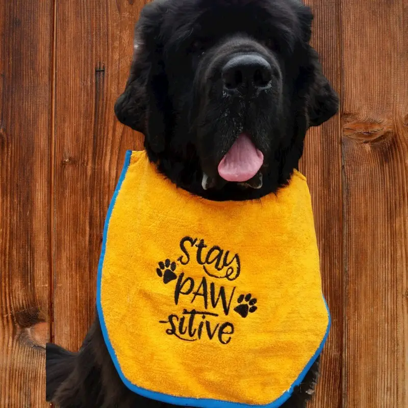 Stay pawsitive dog bib, photo 8
