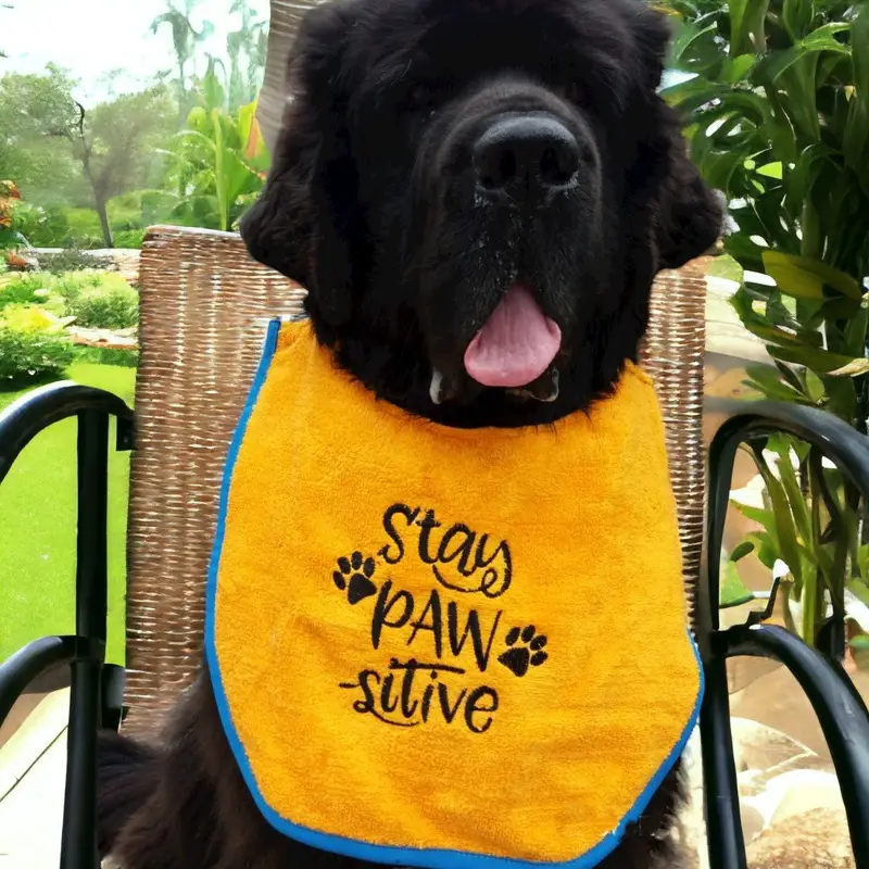 Stay pawsitive dog bib, photo 5