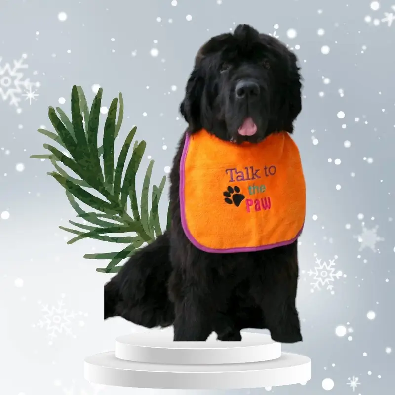 Talk to the paw dog bib, photo 8