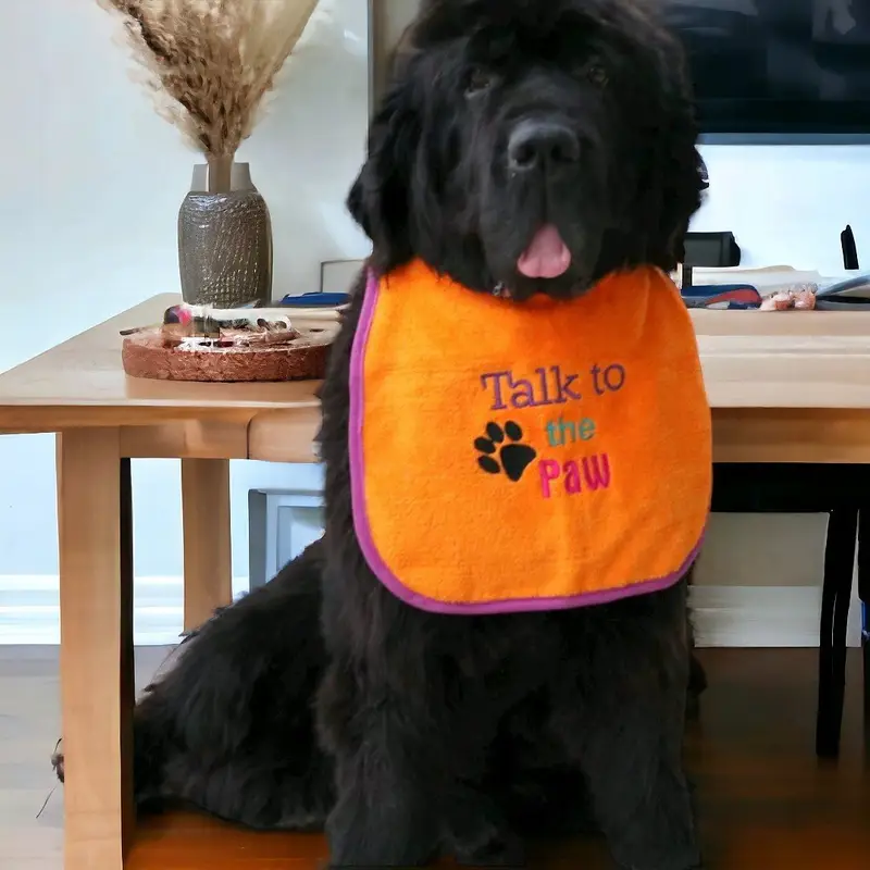 Talk to the paw dog bib, photo 3