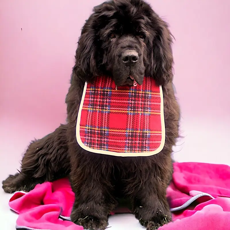 Fleece dog bib: tartan