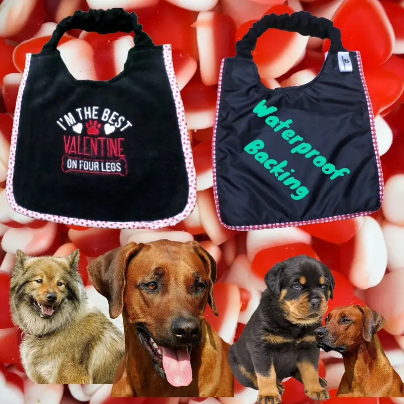 I’m the best Valentine dog bib: valentine11
