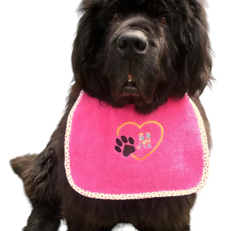 paw printed dog bib