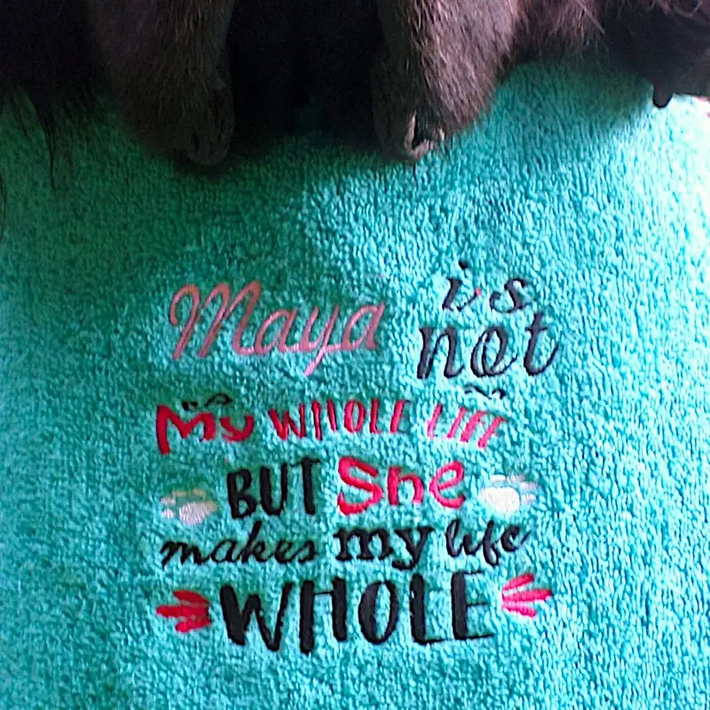 Exclusive 4 coloured bib: whole life