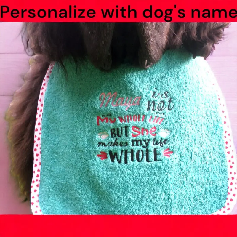 Exclusive 4 coloured bib: whole life
