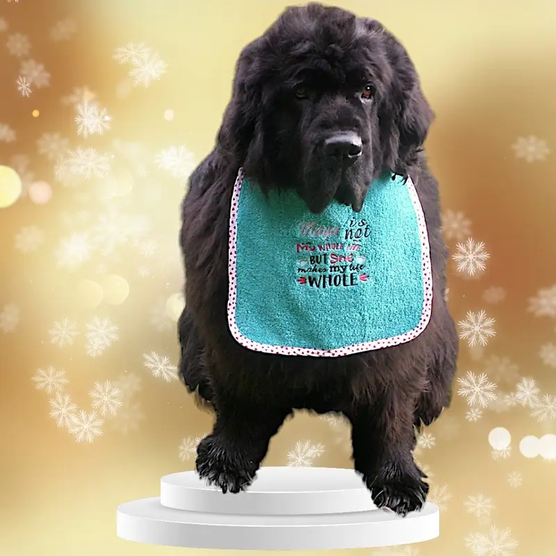 Exclusive 4 coloured bib: whole life