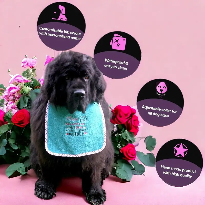Exclusive 4 coloured bib: whole life