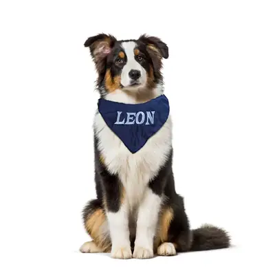 Bandana for dogs embroidered with name, photo 4