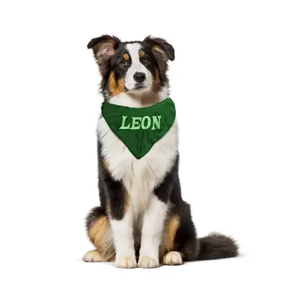 Bandana for dogs embroidered with name, photo 12
