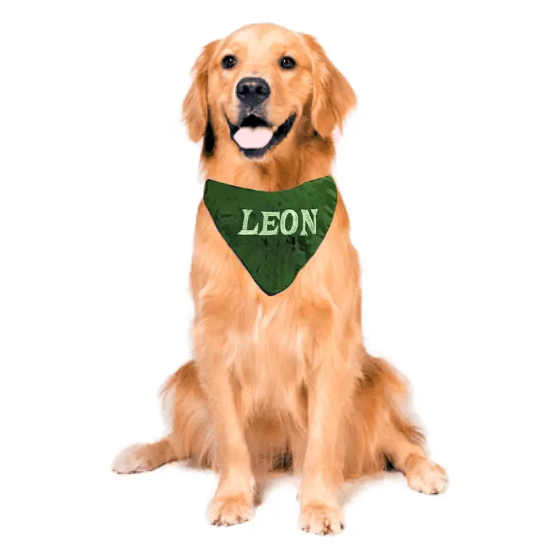 Bandana for dogs embroidered with name, photo 13
