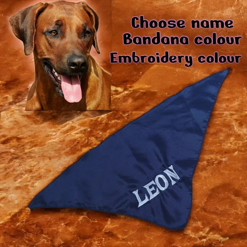 Bandana for dogs embroidered with name, photo 3